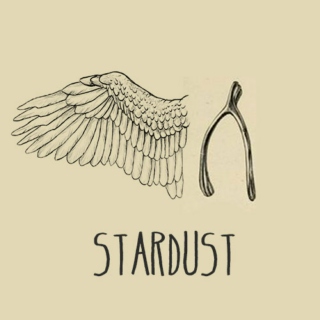 We're Stardust