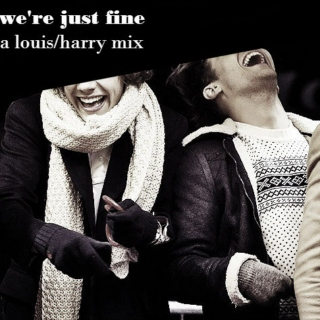 we're just fine - a louis/harry mix