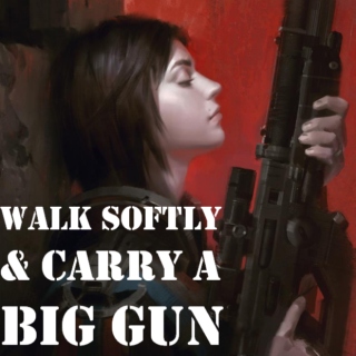 Walk Softly & Carry A Big Gun