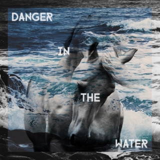 Danger in the Water