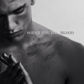 Sorry For The Blood (I'll Wash It Away)
