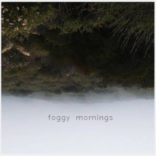 foggy mornings