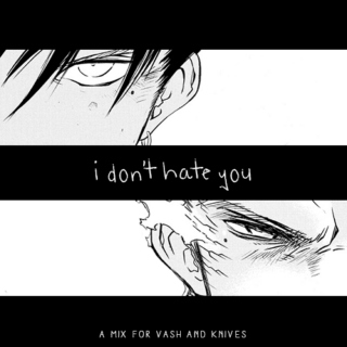 i don't hate you