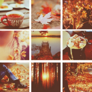 I want to say something so embarrassing about September that even the leaves start blushing and turning red. ♡