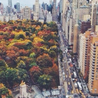 Autumn New York II