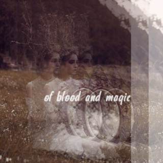 of blood and magic 