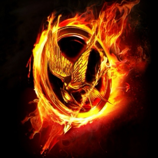 The Hunger Games trilogy: playlist 1