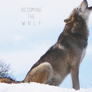 Becoming The Wolf 