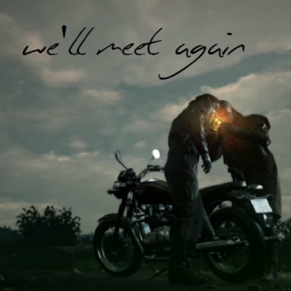we'll meet again