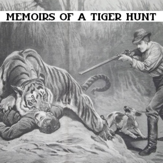 Memoirs Of A Tiger Hunt