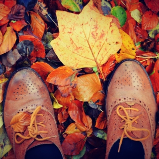 Fall Into Autumn