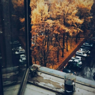 Autumn 
