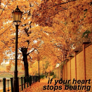 if your heart stops beating