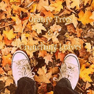 Orange Trees & Crunching Leaves