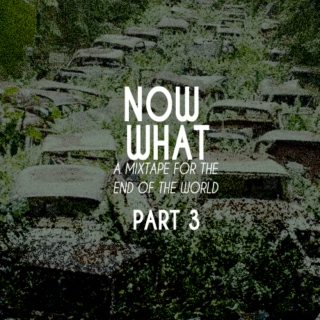 Now What Part 3: The Surviving