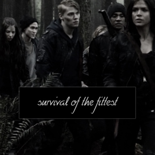 the 100 // survival of the fittest