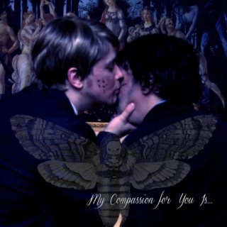 My Compassion For You Is...