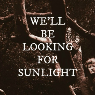 we'll be looking for sunlight