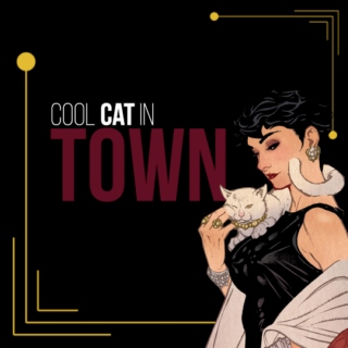 Cool Cat in Town