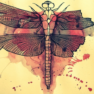 Dragonfly in Amber