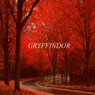 Gryffindor Bravery