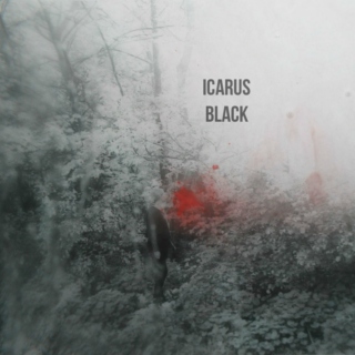 icarus black