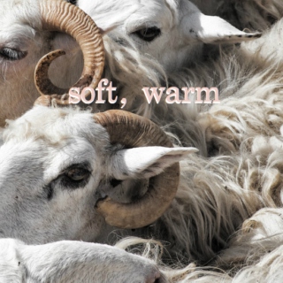 soft, warm