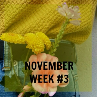 November #3: Teen Love