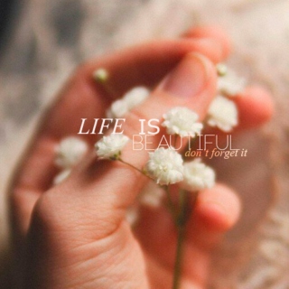 Life is beautiful, don't forget it