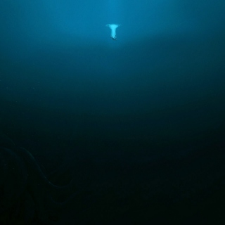 into the deep