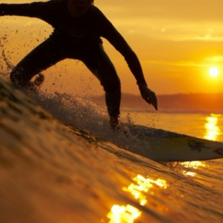 sunset surfer 
