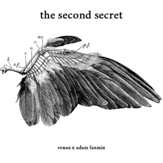 the second secret