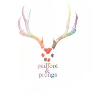 Padfoot & Prongs