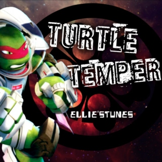 Turtle Temper - Raphael 