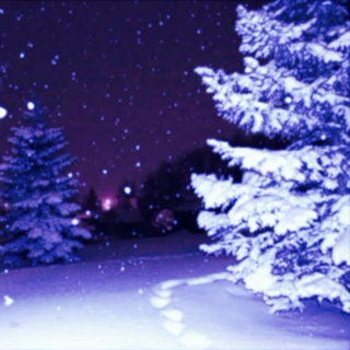 ❄Ambient Snowy Nights❄