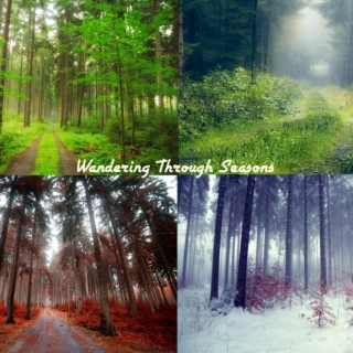 Wandering Through Seasons