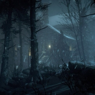a night in blackwood pines