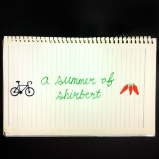 a summer of shirbert
