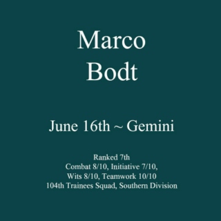 Marco Bodt ~ Instrumental
