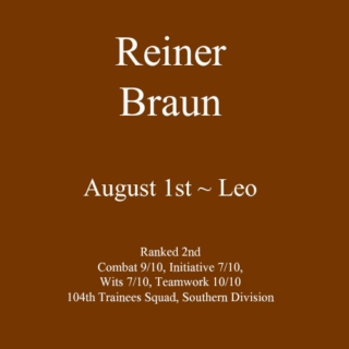Reiner Braun ~ Instrumental