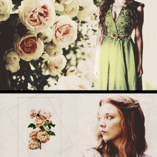 Sweet rose, full of thorns | Margaery Tyrell Fanmix
