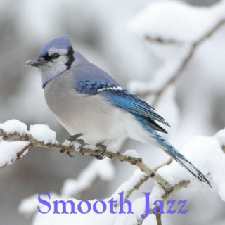Smooth Jazz - Vol.17