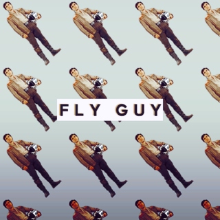 FLY GUY