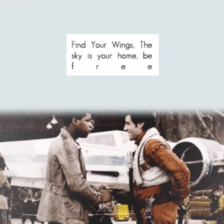 You're supposed to fly away don't let your wings go to waste .