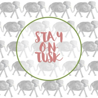 stay on tusk