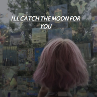 i'll catch the moon for you