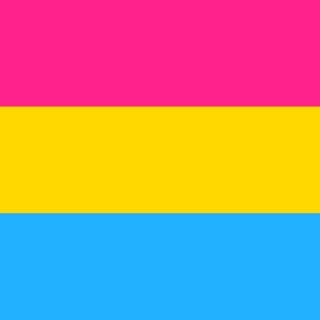 (15/1/2016) Pansexual