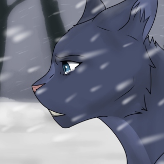 no one ever said it would be this hard // bluestar fanmix