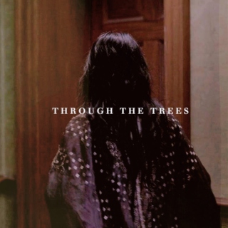 through the trees