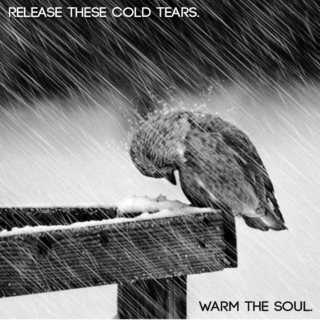 Release These Cold Tears. Warm The Soul.